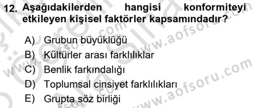 Sosyal Psikoloji 1 Dersi 2025 - 2026 Yılı (Vize) Ara Sınav Soruları 12. Soru