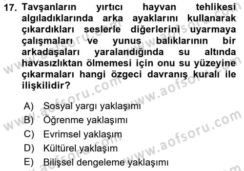 Sosyal Psikoloji 1 Dersi 2025 - 2026 Yılı Yaz Okulu Sınav Soruları 17. Soru