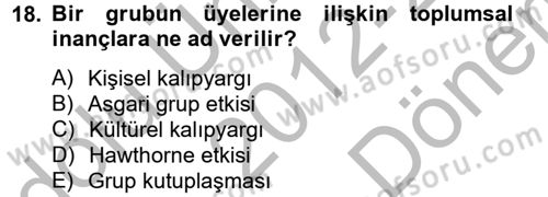 Sosyal Psikoloji 2 Dersi 2012 - 2013 Yılı (Final) Dönem Sonu Sınav Soruları 18. Soru