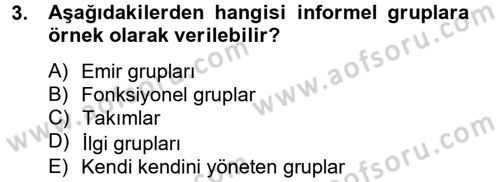 Sosyal Psikoloji 2 Dersi 2012 - 2013 Yılı (Final) Dönem Sonu Sınav Soruları 3. Soru