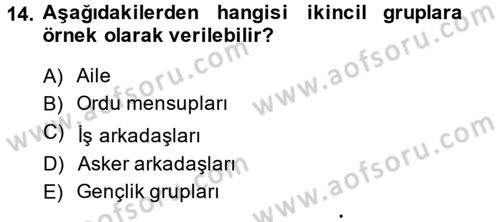 Sosyal Psikoloji 2 Dersi 2013 - 2014 Yılı (Vize) Ara Sınav Soruları 14. Soru