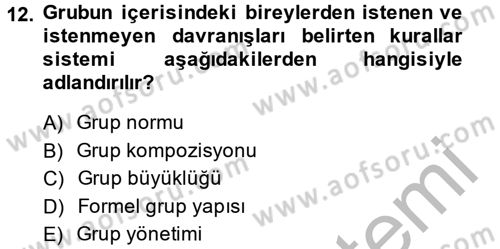 Sosyal Psikoloji 2 Dersi 2014 - 2015 Yılı (Vize) Ara Sınav Soruları 12. Soru