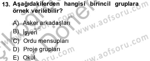 Sosyal Psikoloji 2 Dersi 2014 - 2015 Yılı (Vize) Ara Sınav Soruları 13. Soru