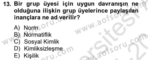Sosyal Psikoloji 2 Dersi 2014 - 2015 Yılı Tek Ders Sınav Soruları 13. Soru