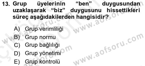 Sosyal Psikoloji 2 Dersi 2015 - 2016 Yılı (Vize) Ara Sınav Soruları 13. Soru