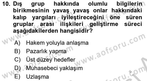 Sosyal Psikoloji 2 Dersi 2016 - 2017 Yılı 3 Ders Sınav Soruları 10. Soru