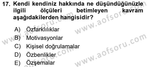 Sosyal Psikoloji 2 Dersi 2016 - 2017 Yılı 3 Ders Sınav Soruları 17. Soru