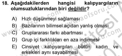 Sosyal Psikoloji 2 Dersi 2016 - 2017 Yılı 3 Ders Sınav Soruları 18. Soru