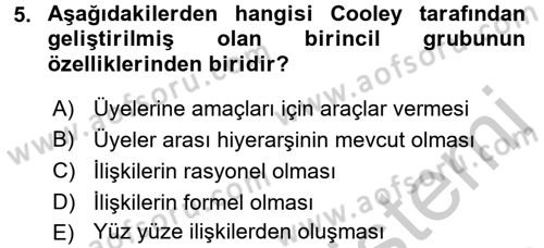 Sosyal Psikoloji 2 Dersi 2016 - 2017 Yılı 3 Ders Sınav Soruları 5. Soru