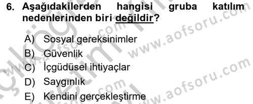 Sosyal Psikoloji 2 Dersi 2016 - 2017 Yılı 3 Ders Sınav Soruları 6. Soru