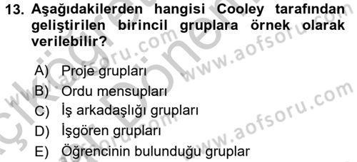 Sosyal Psikoloji 2 Dersi 2016 - 2017 Yılı (Vize) Ara Sınav Soruları 13. Soru