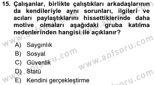 Sosyal Psikoloji 2 Dersi 2016 - 2017 Yılı (Vize) Ara Sınav Soruları 15. Soru