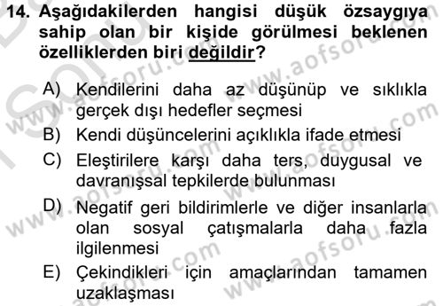 Sosyal Psikoloji 2 Dersi 2016 - 2017 Yılı (Final) Dönem Sonu Sınav Soruları 14. Soru