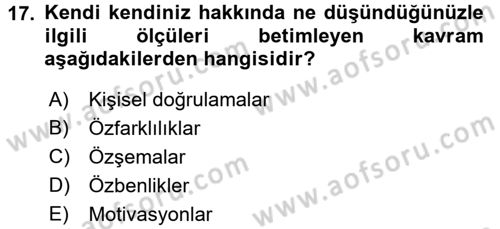 Sosyal Psikoloji 2 Dersi 2017 - 2018 Yılı 3 Ders Sınav Soruları 17. Soru