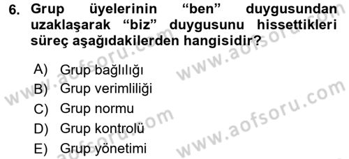 Sosyal Psikoloji 2 Dersi 2017 - 2018 Yılı 3 Ders Sınav Soruları 6. Soru