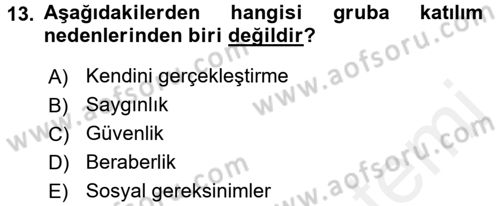 Sosyal Psikoloji 2 Dersi 2017 - 2018 Yılı (Vize) Ara Sınav Soruları 13. Soru