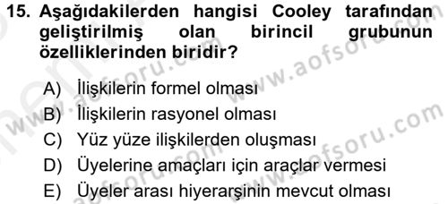 Sosyal Psikoloji 2 Dersi 2017 - 2018 Yılı (Vize) Ara Sınav Soruları 15. Soru