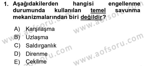 Sosyal Psikoloji 2 Dersi 2017 - 2018 Yılı (Final) Dönem Sonu Sınav Soruları 1. Soru