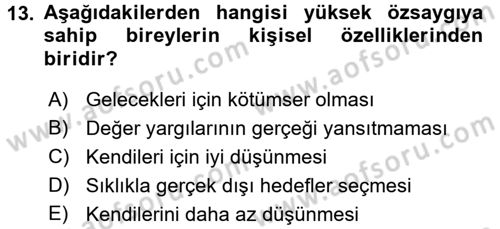Sosyal Psikoloji 2 Dersi 2017 - 2018 Yılı (Final) Dönem Sonu Sınav Soruları 13. Soru