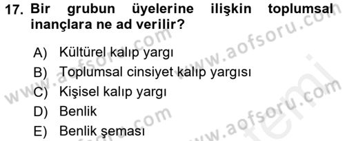 Sosyal Psikoloji 2 Dersi 2017 - 2018 Yılı (Final) Dönem Sonu Sınav Soruları 17. Soru