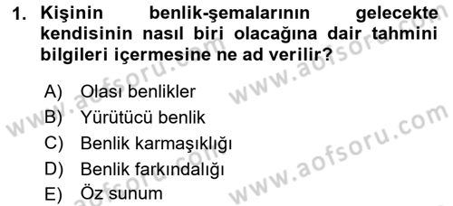 Sosyal Psikoloji 2 Dersi 2018 - 2019 Yılı 3 Ders Sınav Soruları 1. Soru