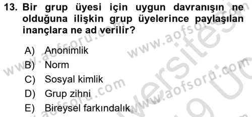Sosyal Psikoloji 2 Dersi 2018 - 2019 Yılı 3 Ders Sınav Soruları 13. Soru