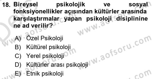 Sosyal Psikoloji 2 Dersi 2018 - 2019 Yılı 3 Ders Sınav Soruları 18. Soru