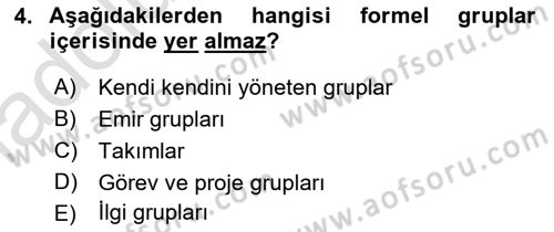 Sosyal Psikoloji 2 Dersi 2018 - 2019 Yılı 3 Ders Sınav Soruları 4. Soru