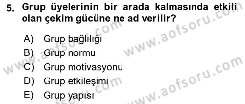 Sosyal Psikoloji 2 Dersi 2018 - 2019 Yılı 3 Ders Sınav Soruları 5. Soru