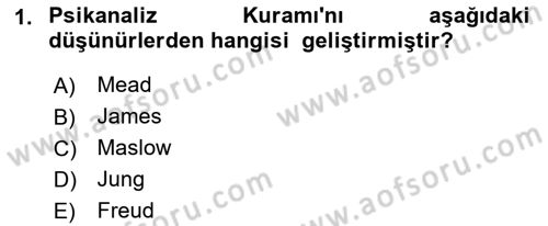 Sosyal Psikoloji 2 Dersi 2018 - 2019 Yılı (Vize) Ara Sınav Soruları 1. Soru