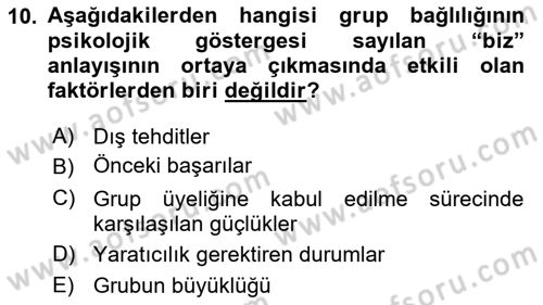 Sosyal Psikoloji 2 Dersi 2018 - 2019 Yılı (Vize) Ara Sınav Soruları 10. Soru