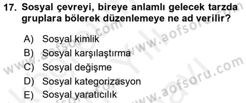 Sosyal Psikoloji 2 Dersi 2018 - 2019 Yılı (Vize) Ara Sınav Soruları 17. Soru