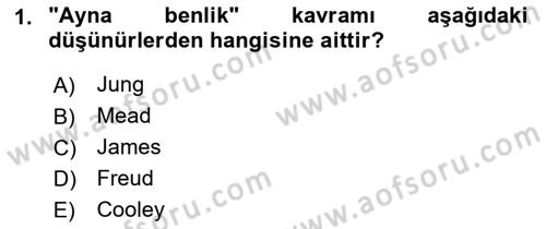 Sosyal Psikoloji 2 Dersi 2018 - 2019 Yılı Yaz Okulu Sınav Soruları 1. Soru