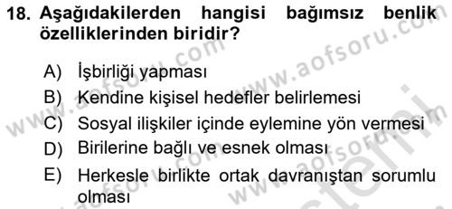Sosyal Psikoloji 2 Dersi 2020 - 2021 Yılı Yaz Okulu Sınav Soruları 18. Soru