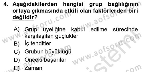 Sosyal Psikoloji 2 Dersi 2020 - 2021 Yılı Yaz Okulu Sınav Soruları 4. Soru
