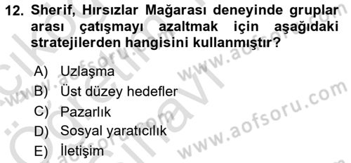 Sosyal Psikoloji 2 Dersi 2021 - 2022 Yılı Yaz Okulu Sınav Soruları 12. Soru