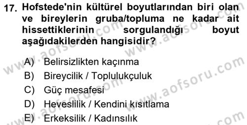 Sosyal Psikoloji 2 Dersi 2021 - 2022 Yılı Yaz Okulu Sınav Soruları 17. Soru