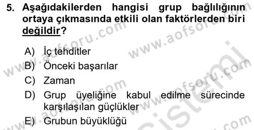 Sosyal Psikoloji 2 Dersi 2021 - 2022 Yılı Yaz Okulu Sınav Soruları 5. Soru