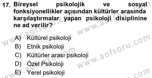 Sosyal Psikoloji 2 Dersi 2022 - 2023 Yılı Yaz Okulu Sınavı 17. Soru