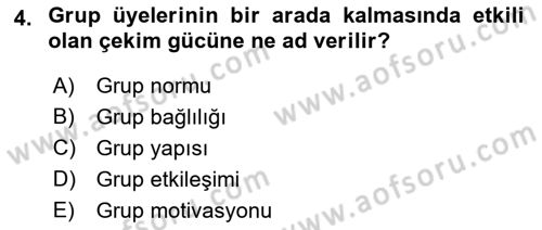 Sosyal Psikoloji 2 Dersi 2022 - 2023 Yılı Yaz Okulu Sınavı 4. Soru