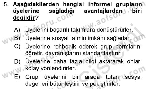 Sosyal Psikoloji 2 Dersi 2022 - 2023 Yılı Yaz Okulu Sınavı 5. Soru