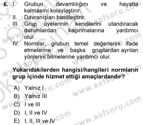 Sosyal Psikoloji 2 Dersi 2022 - 2023 Yılı Yaz Okulu Sınavı 6. Soru