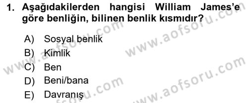 Sosyal Psikoloji 2 Dersi 2023 - 2024 Yılı (Vize) Ara Sınav Soruları 1. Soru