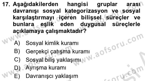 Sosyal Psikoloji 2 Dersi 2023 - 2024 Yılı (Vize) Ara Sınav Soruları 17. Soru