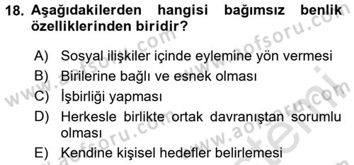 Sosyal Psikoloji 2 Dersi 2023 - 2024 Yılı Yaz Okulu Sınav Soruları 18. Soru