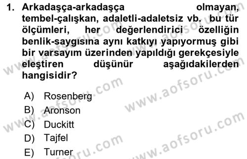 Sosyal Psikoloji 2 Dersi 2024 - 2025 Yılı (Vize) Ara Sınav Soruları 1. Soru