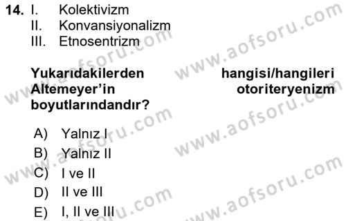 Sosyal Psikoloji 2 Dersi 2024 - 2025 Yılı (Vize) Ara Sınav Soruları 14. Soru
