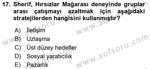 Sosyal Psikoloji 2 Dersi 2024 - 2025 Yılı (Vize) Ara Sınav Soruları 17. Soru