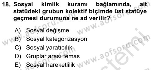 Sosyal Psikoloji 2 Dersi 2024 - 2025 Yılı (Vize) Ara Sınav Soruları 18. Soru