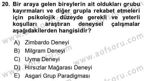 Sosyal Psikoloji 2 Dersi 2024 - 2025 Yılı (Vize) Ara Sınav Soruları 20. Soru